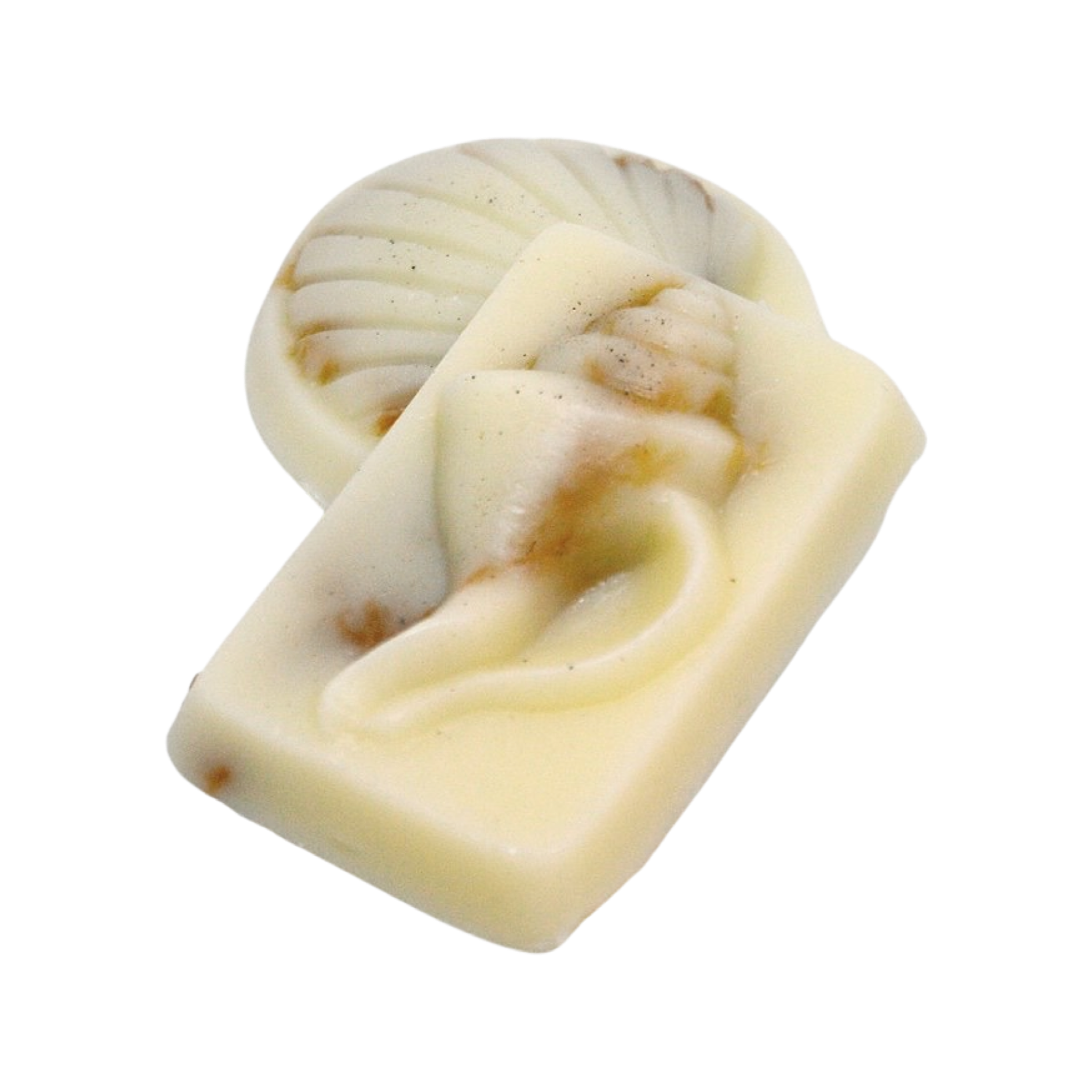 Key West Body Scrubs - Sea Shell Soaps