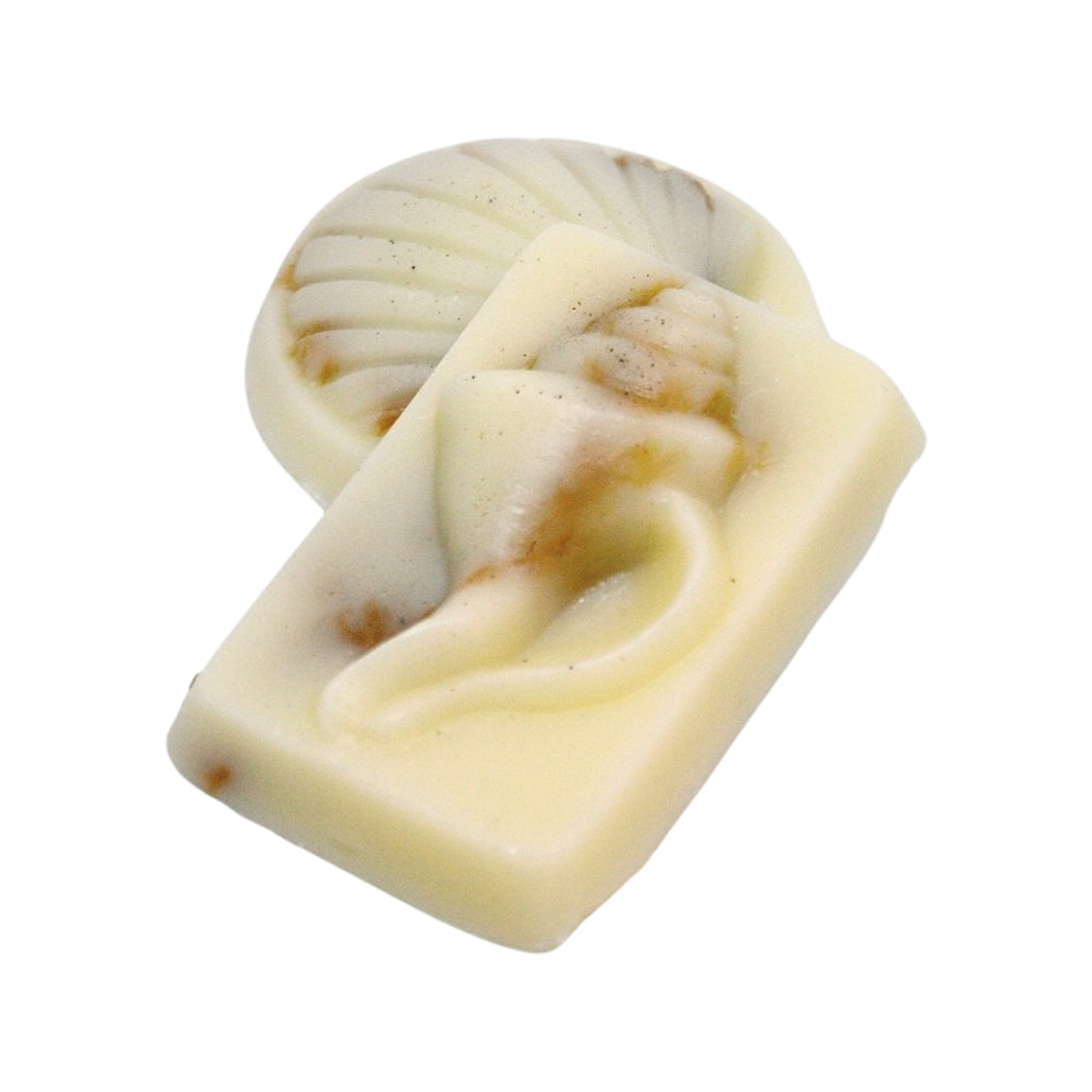 Sea Shell Soaps